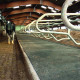 Rubber carpet for cowshed